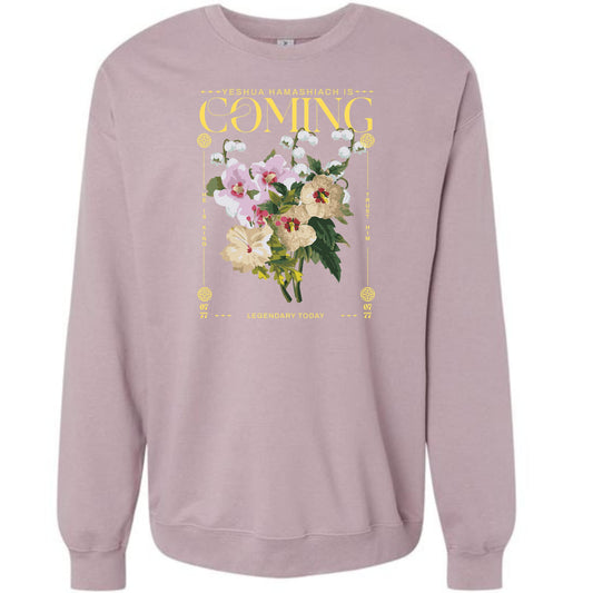 YESHUA IS COMING: NEUTRAL SWEATSHIRT